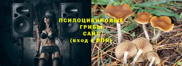 дживик Алексин